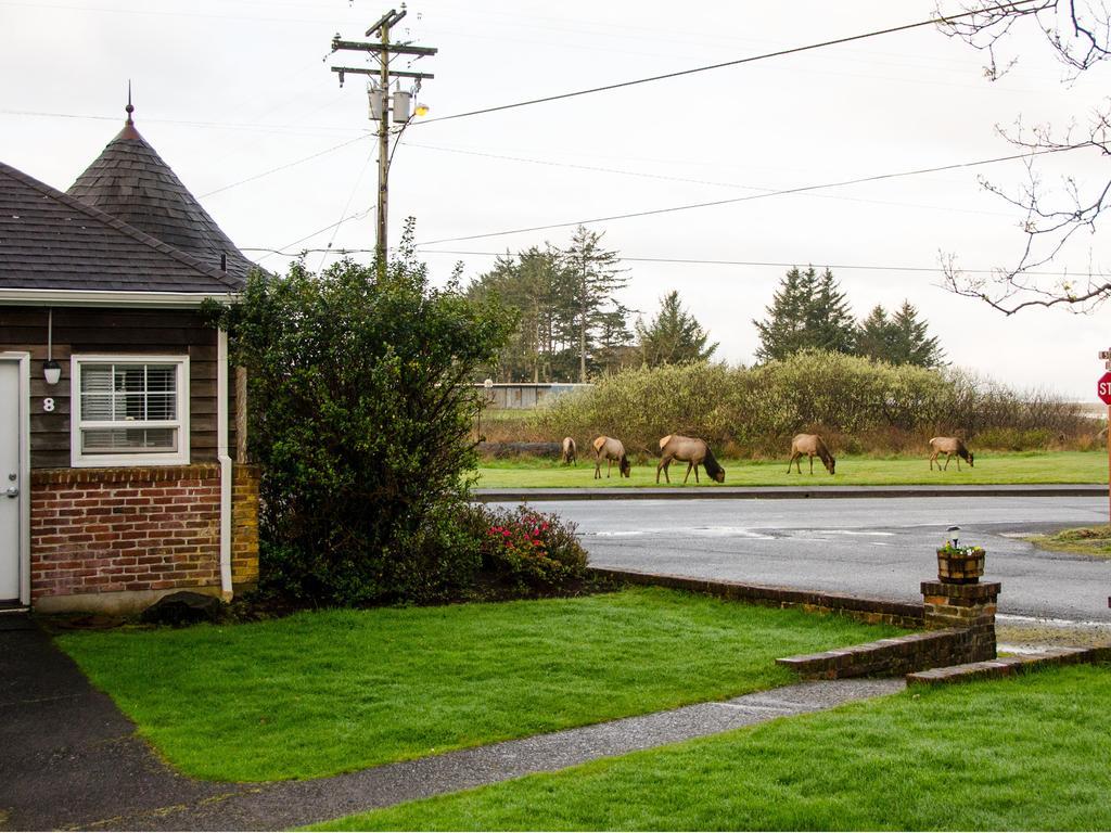 Ecola Creek Lodge Cannon Beach Bagian luar foto