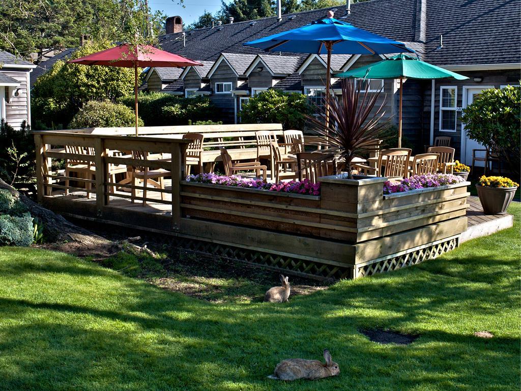 Ecola Creek Lodge Cannon Beach Bagian luar foto
